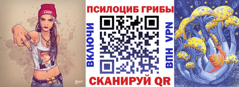 MEGA ссылки  Красный Кут  Псилоцибиновые грибы Psilocybine cubensis  где купить наркотик 